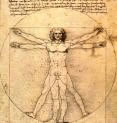 Vitruvian Man