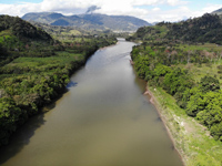 Amazon River