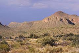 Chihuahuan