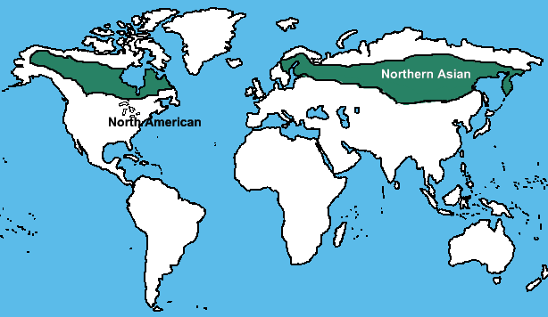 Boreal Forest Belt