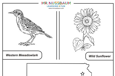 Kansas Symbols