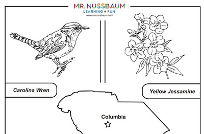 South Carolina State Symbols