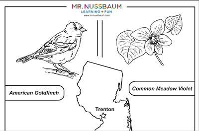 New Jersey State Symbols